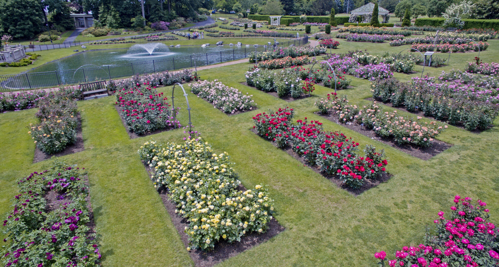 Hershey Gardens roses